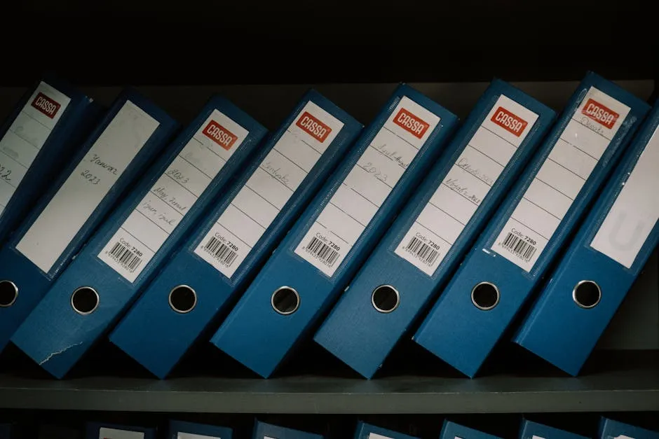 Labelled archive boxes and binders neatly shelved, suggesting an organized internal record a team can actually find things in